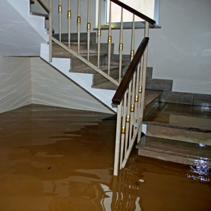 Water Damage Restoration In Grand Rapids